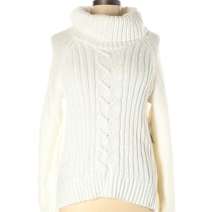 a.n.a. A New Approach Turtleneck Sweater